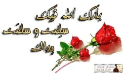 1670399475516.webp