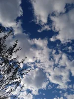 IMG_20221128_152424.webp