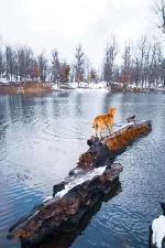 FB_IMG_1674152443876.webp