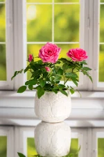 1675039256421.webp