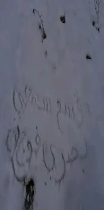 1676033927906.webp