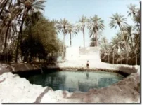 thumb15.webp