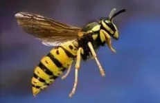 Fo13iHrWcAAmVpa.webp