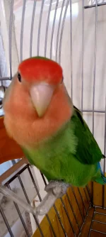 IMG20230314124401.webp