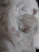 20230313_125512.webp