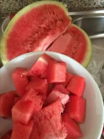 FB_IMG_1680000045802.webp