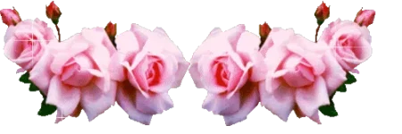 1681113746402.webp