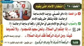 28.webp
