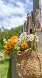 d2c2b25f5a43499cac5de467b59a9526.webp
