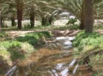 images (13).webp images (13).webp