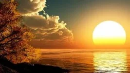 images (2).webp