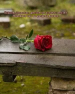 e36e569bd37cb85e71659a217862d6d3.webp