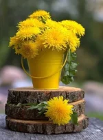 f8bfb64083ab49ac8c32ed8617b86d10.webp