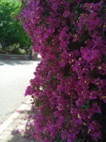 IMG_20230509_153640.webp