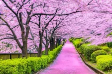 images (40).jpeg images (40).jpeg