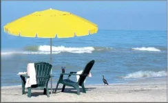 images (4).webp
