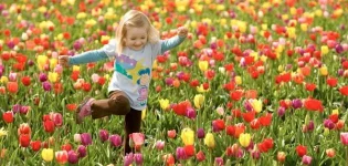 معلومات_عن_فصل_الربيع.jpg معلومات_عن_فصل_الربيع.jpg