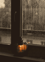 n.gif n.gif