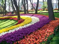 4779-9+.jpg 4779-9+.jpg