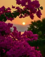 7135b6ef72f3eac1649f8f6f68fa2820.webp
