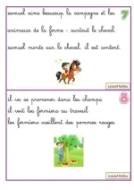 FB_IMG_1693747650273.webp