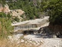 SNC10194.webp