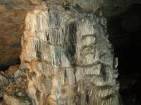 SNC10230.webp