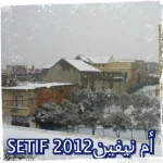 sampc80e9c3c65d23a0e.webp