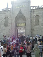 SNC10546.webp SNC10546.webp