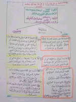 FB_IMG_1697925679807.webp