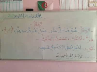 FB_IMG_1698267972142.webp