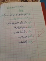 FB_IMG_1698267976306.webp
