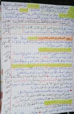 FB_IMG_1698538475103.webp