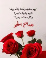 FB_IMG_1699800593479.webp