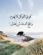 FB_IMG_1699800871201.webp