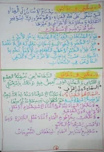 FB_IMG_1700058338977.webp