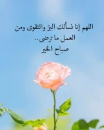 FB_IMG_1700570395168.webp