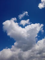 IMG_20240424_123702.webp