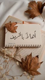 9d8dedd33661ea0e369138db3fabf80a.webp