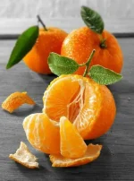 e2c24ed8fb1dd48ad60e9b4ddf572119.webp
