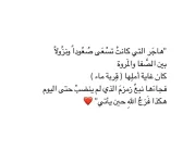 FB_IMG_1730751731813.webp