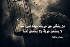 1735222666624.webp