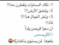 1735223295492.webp