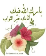 1735845555836.webp