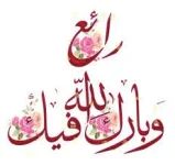 1736788889217.webp
