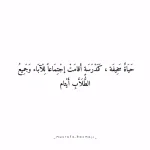 1000011366.webp