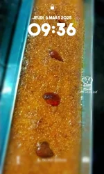 PicsArt_03-06-09.42.54.webp