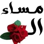4e24b6ead8129490f45e2043a41c87b7.webp