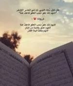images (2).webp