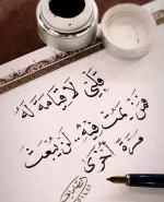 25db21d3b3fc24271cfbec8a0dff2691.webp